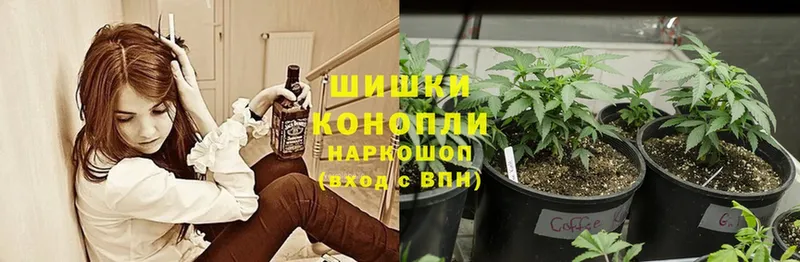 купить наркотик  Ленинск-Кузнецкий  Марихуана Bruce Banner 